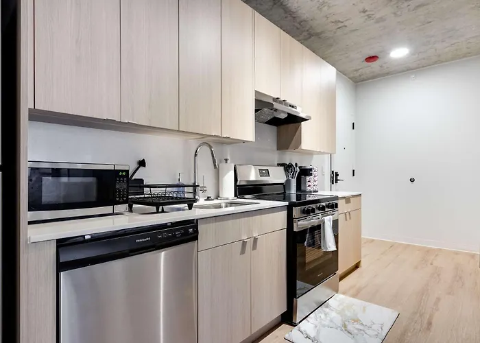 Apartamento South Loop Rooftop With In And Out Parking 4 Chicago