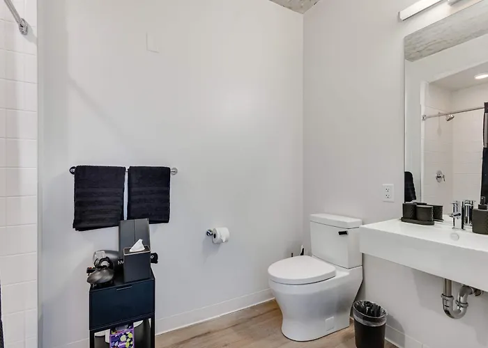 Apartment South Loop Rooftop With In And Out Parking 4