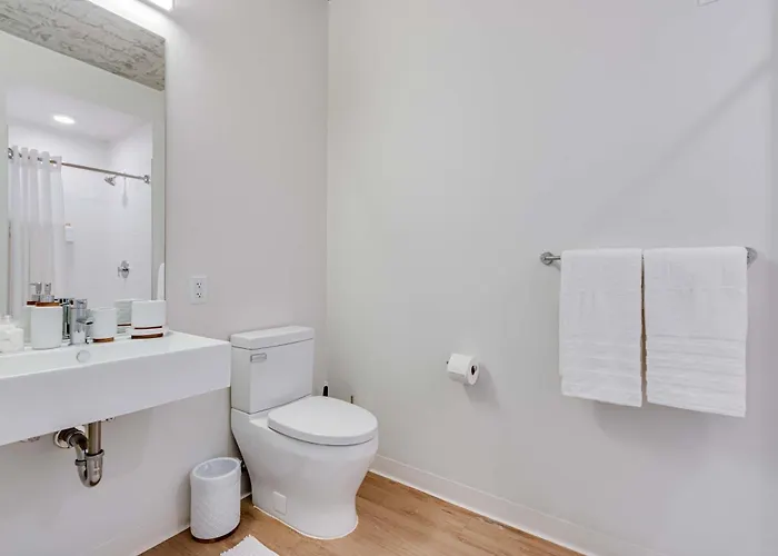 South Loop Rooftop With In And Out Parking 4 Apartment *