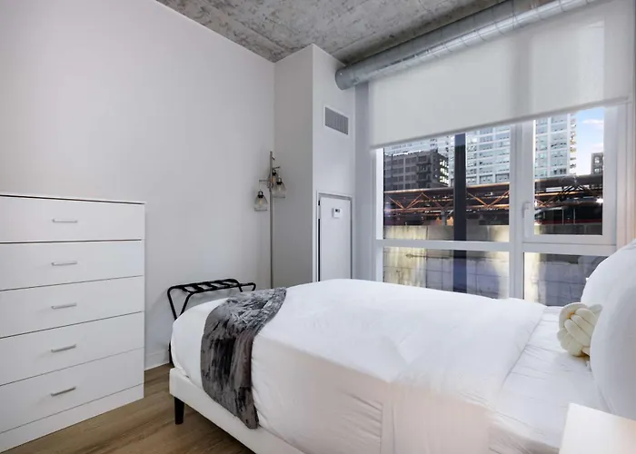 Apartment South Loop Rooftop With In And Out Parking 4