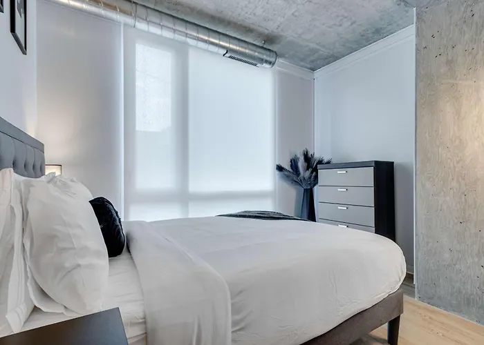 Apartment South Loop Rooftop With In And Out Parking 4 Chicago