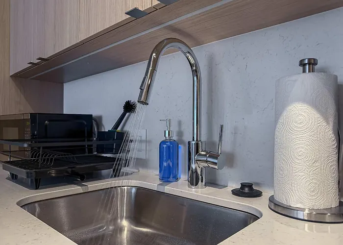 South Loop Rooftop With In And Out Parking 4 *
