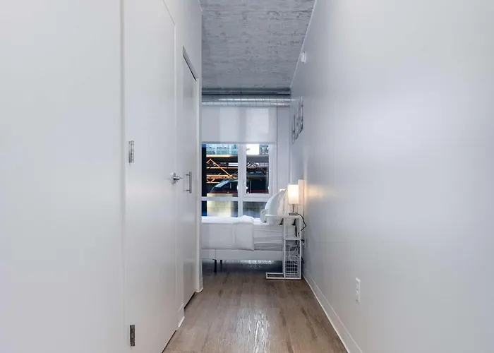 South Loop Rooftop With In And Out Parking 4 Apartment
